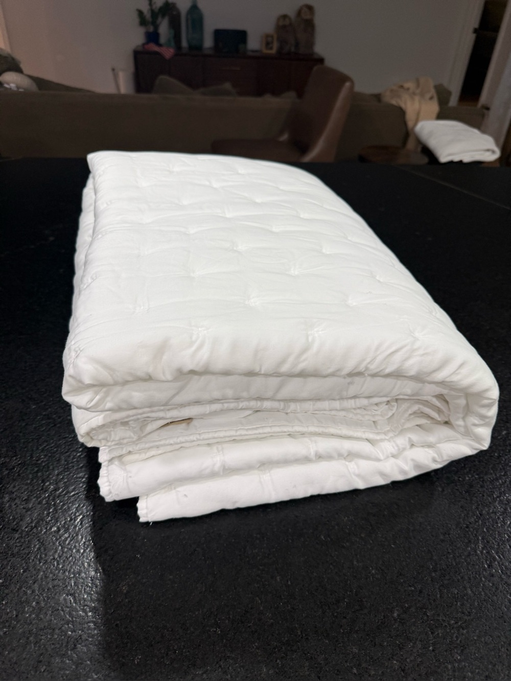 Pottery Barn Teen Twin/Twin XL Duvet Insert - Picture 6 of 6